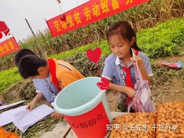 2022学校文化艺术节活动总结范文（校园文化艺术节策划总结范例）