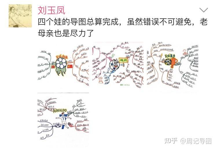 其他的国家队都要通过参加欧洲杯预选赛来重新获得参赛资格