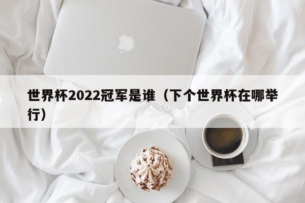 世界杯2022冠军是谁（下个世界杯在哪举行）